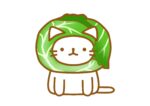 【妊娠初期〜3歳】まるまる１個の葉物野菜を長持ちさせるダイソー便利グッズ！