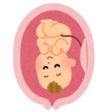 【妊娠初期～妊娠後期】初めてのたまごクラブ購入すると、応募者全員に猫の可愛いキャラクターのエコー写真専用アルバムがもらえます☆