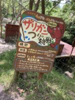 【１歳〜３歳】１歳７ヶ月の子どもと「伊賀の里手作りもくもくファーム」行ってきました♪