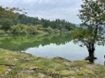 【0～1歳】秋におすすめのハイキングコース♪湖北、余呉湖を一周してきました。